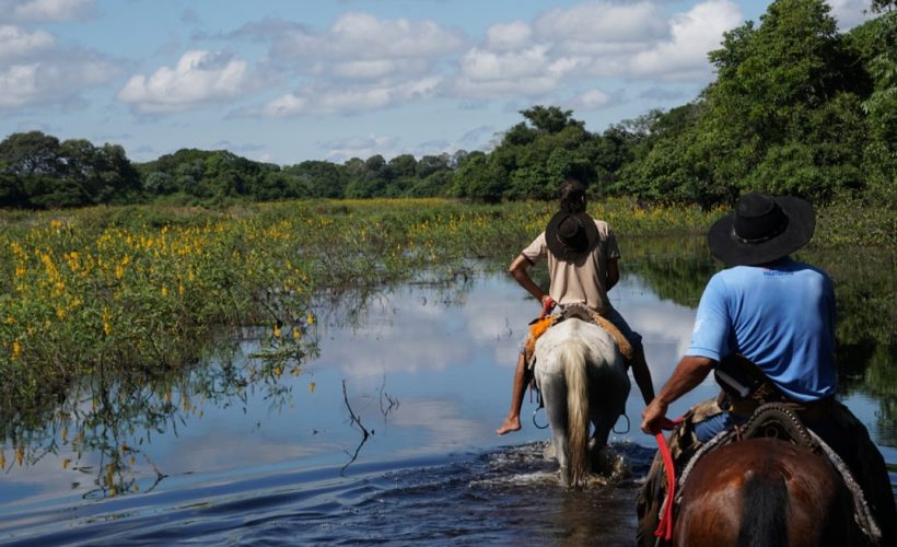 Qual a maior fazenda do Pantanal